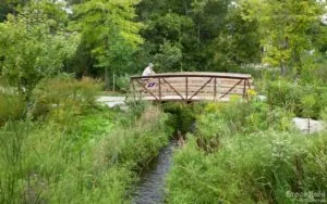 small bridge in the park bolton ontario brookfield residential 1